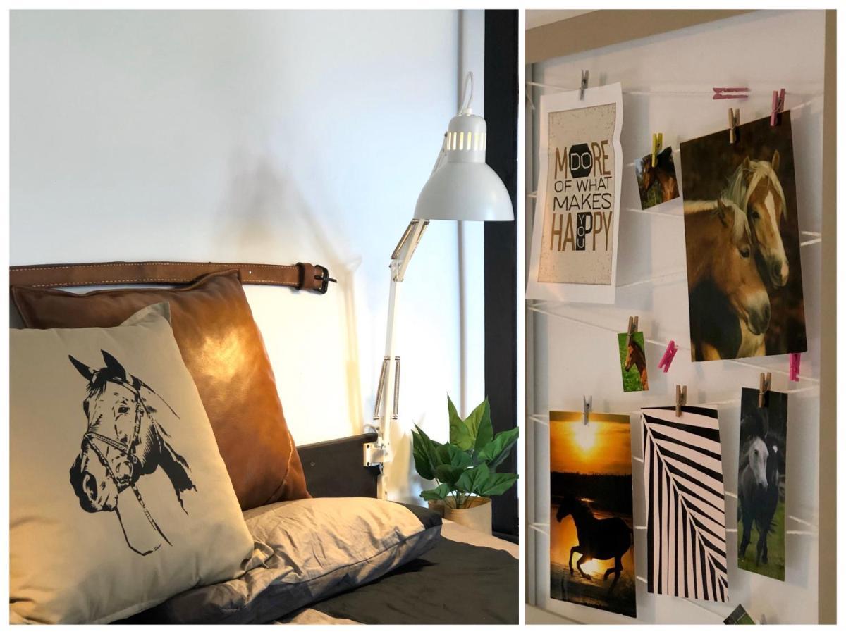 Apartamenty Lajkonik Dąbrówno Kültér fotó